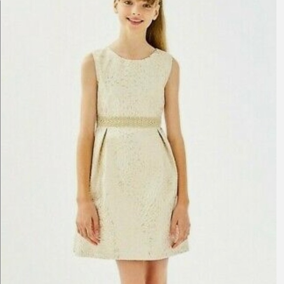 NWT Lilly Pulitzer Abriana Dress Size 10 - Picture 1 of 4